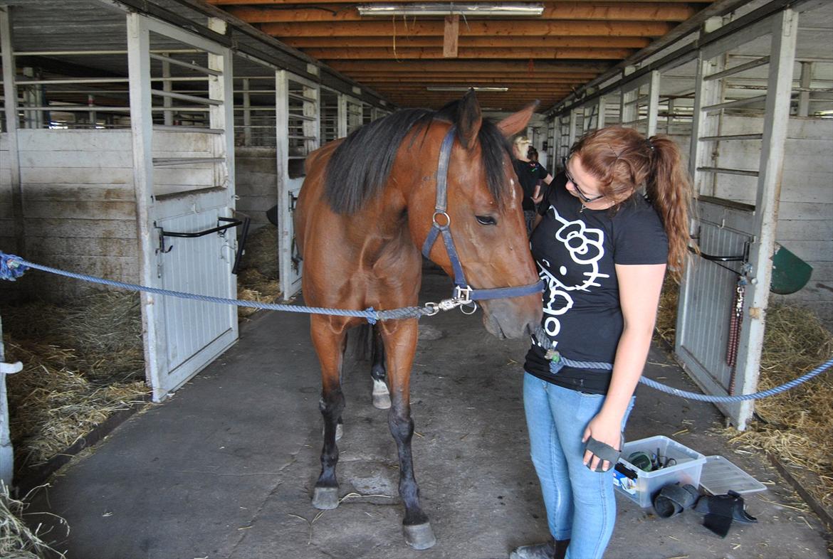 Traver Oscar Fønix billede 16