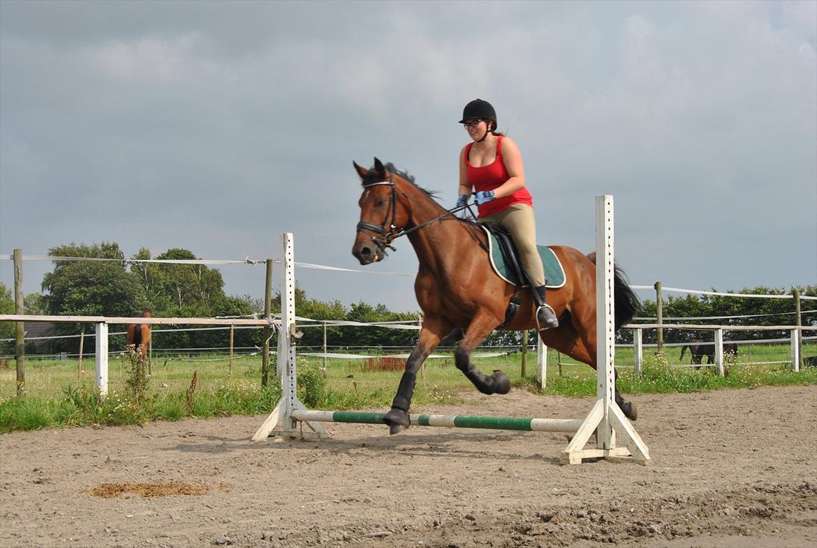 Traver Oscar Fønix billede 17