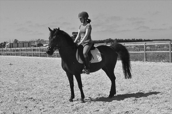 Anden særlig race Anja - Dressur er ikke det vi bedst kan li'!:D
(Foto: Mette J) billede 15