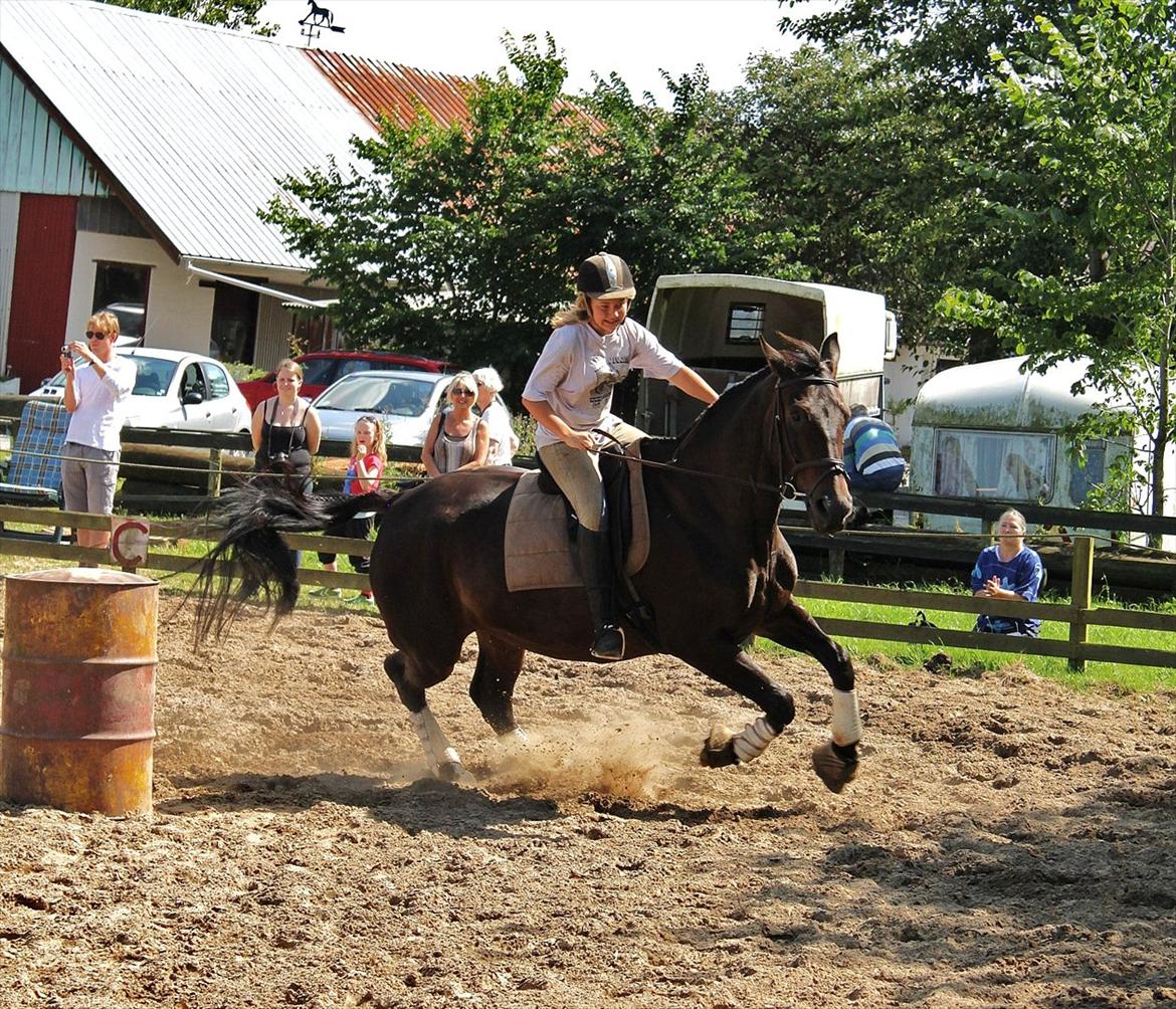 Oldenborg Selta Højbo - „Horses are like stars. There are millions of them, but only one can make your dreams come true. It's the star that falls for you.“

Sommer 2011, ponygames :-) billede 14