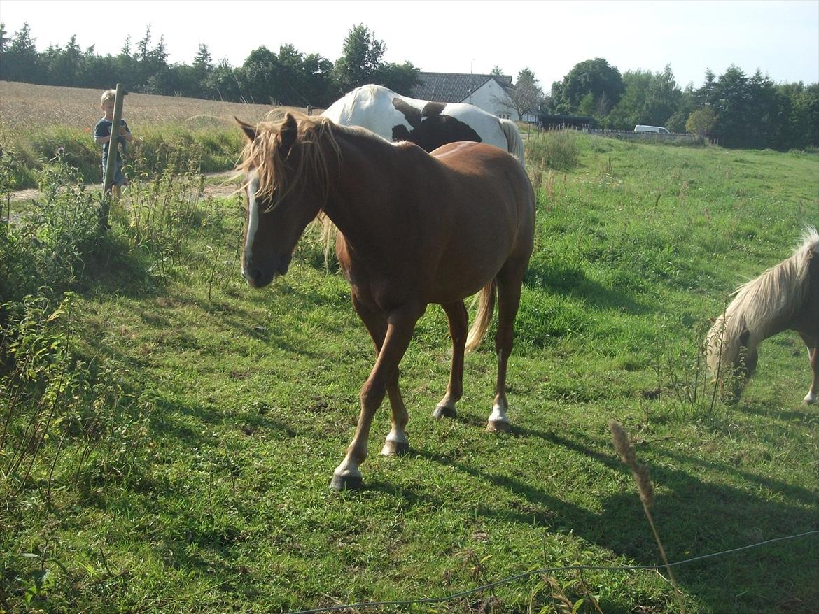 Anden særlig race | charlie<3 billede 6