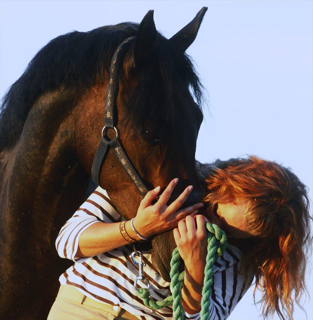 DSP | Vasehøjs Kasira | - [8] 1 august 2011 // du skøn pony! billede 7