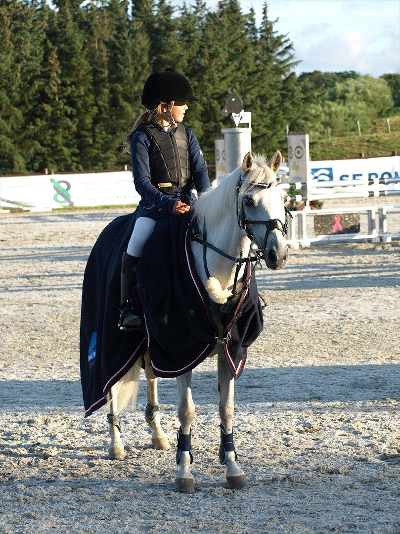 Anden særlig race Angel - Stall Melby 1 plads i mb** b- stævne billede 6