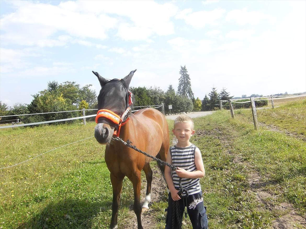 Anden særlig race Tika [tidligere låne pony] ;-( billede 1