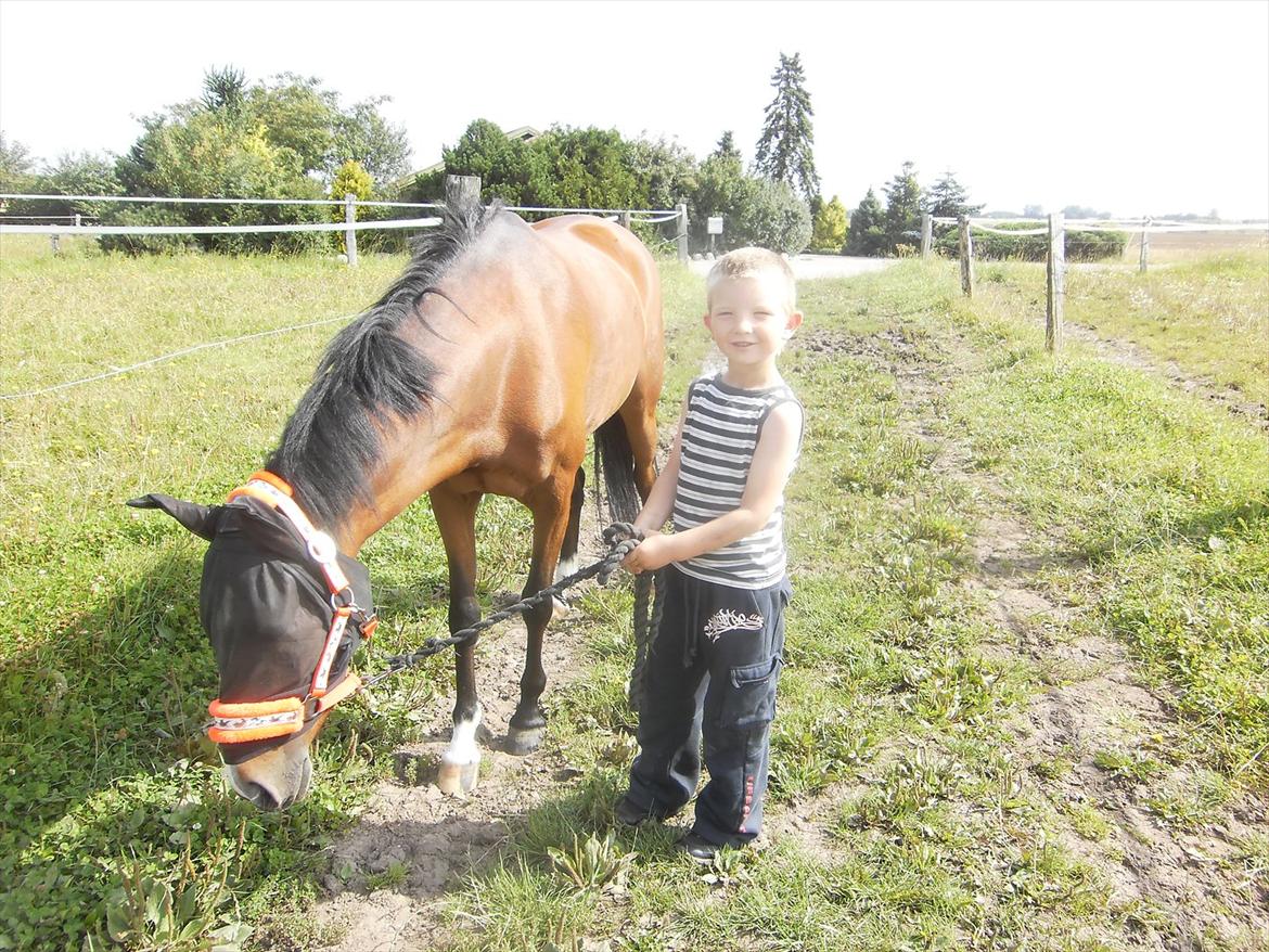 Anden særlig race Tika [tidligere låne pony] ;-( billede 2