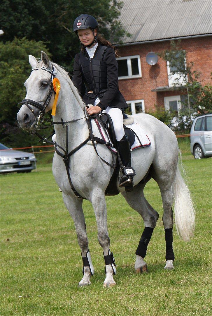 Hollandsk Sportspony Amigo A-pony - Amigo og jeg i Tyskland - vinder af 120 klassen for hestene ... 0 fejl billede 7