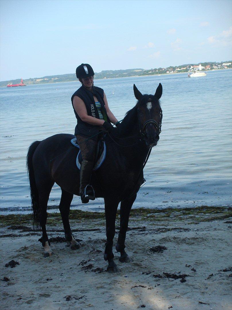 Anden særlig race Tia R:I:P - Tia og jeg hjemme ved mine forældre ved stranden den 1. august. billede 10