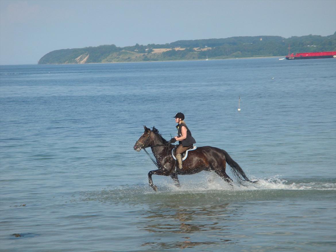 Anden særlig race Tia R:I:P - Tia og jeg hjemme ved mine forældre ved stranden den 1. august. billede 12