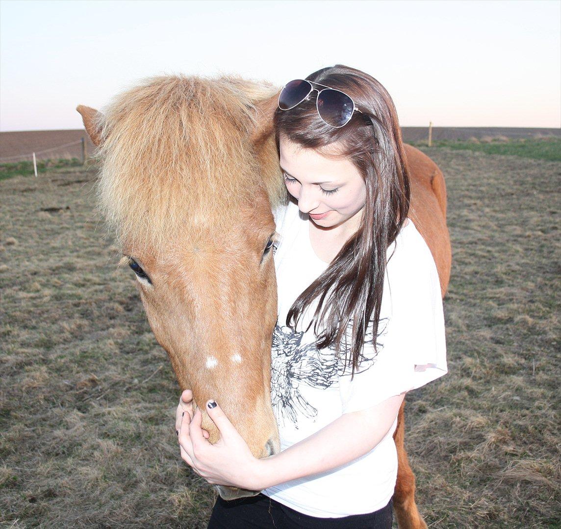 Islænder Trítill fra Fogedgaarden - Ingen er perfekte, men nogle er perfekte for hinanden.. billede 6