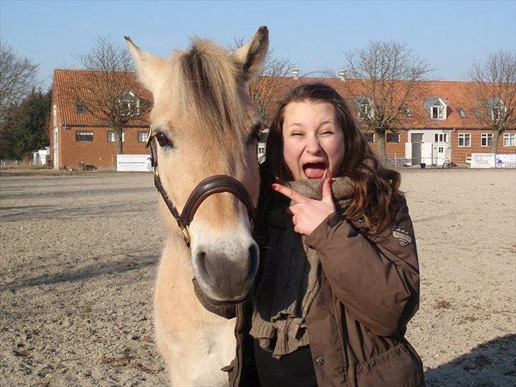 Fjordhest Pouline - Os to foraltid baby!<3 billede 7