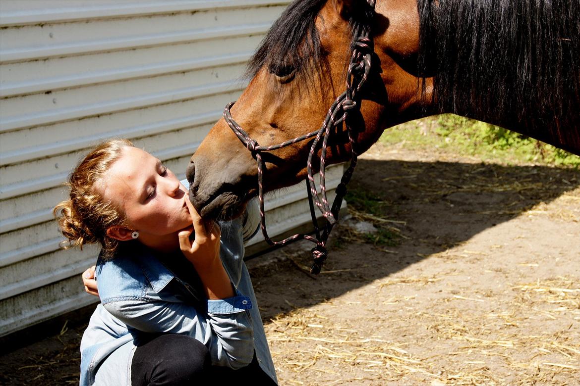 Anden særlig race Stjerne - vælt hele lortet og prøv noget nyt *-: billede 7