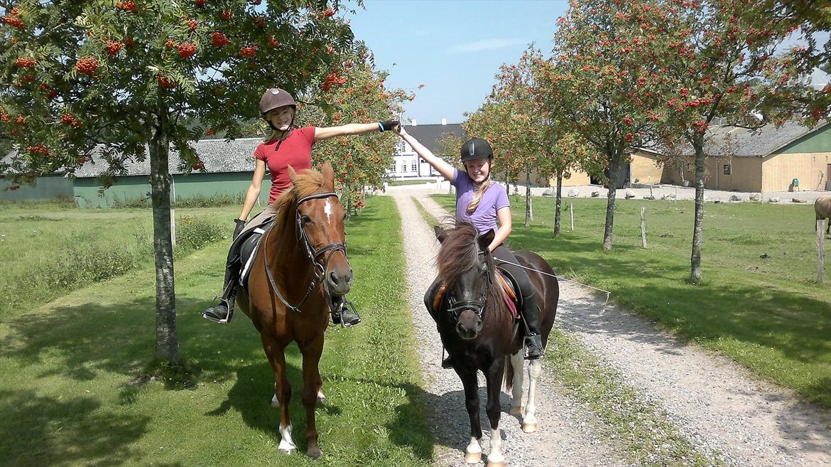 Islænder Mulle *MIN LILLE ISBAMSE* - Venner er venner i nutid og datid men vi 4 er venner for evigt og altid<'333333333333333333 billede 15
