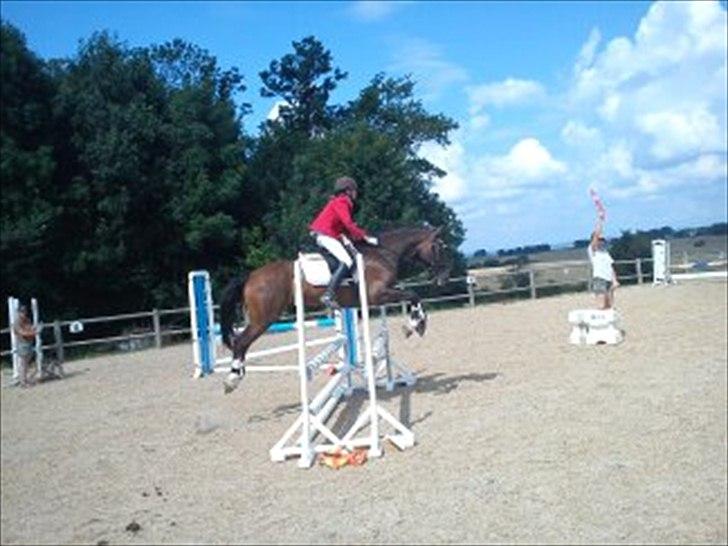 Anden særlig race ***Bastian*** billede 17