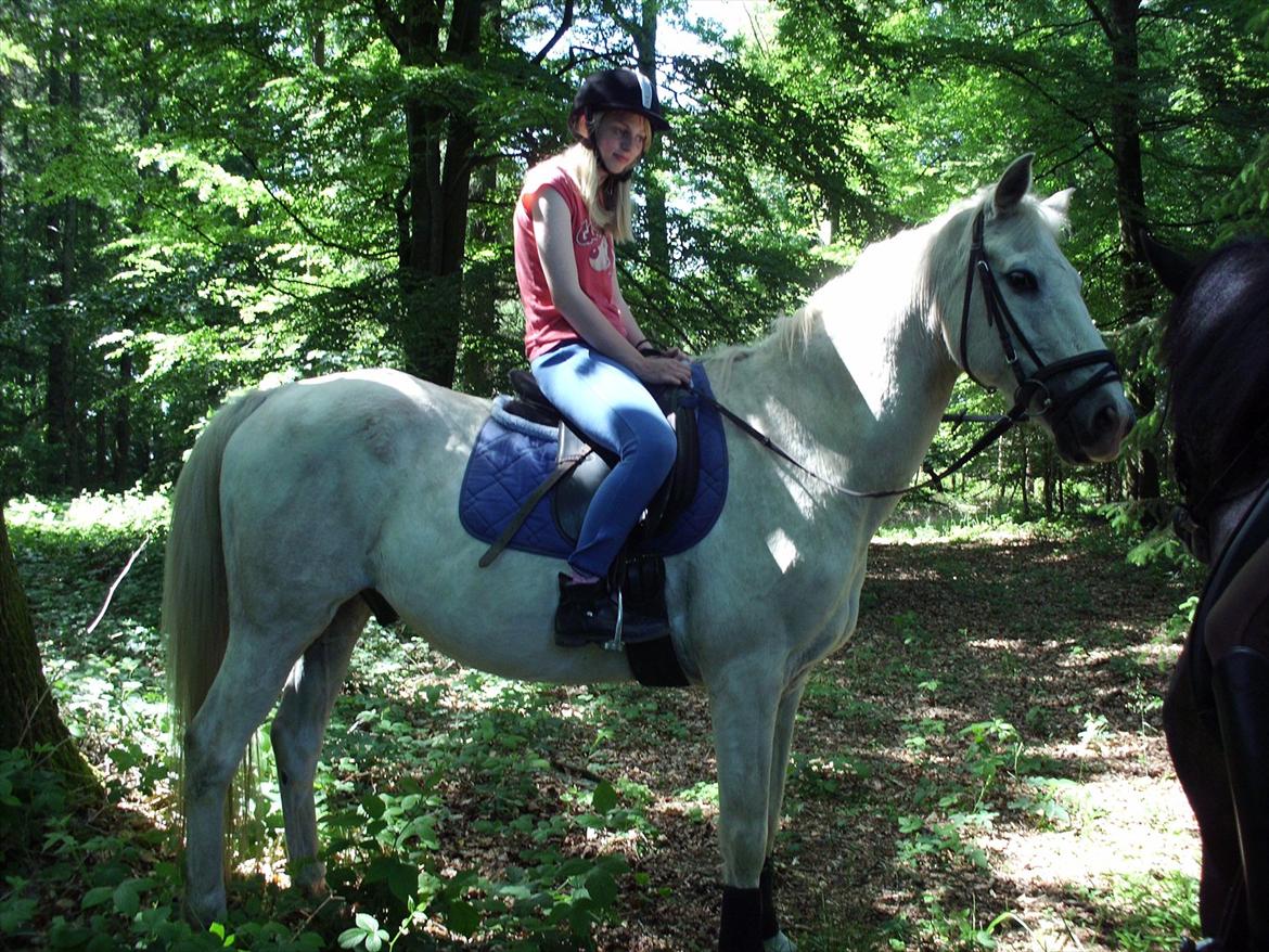 Anden særlig race † Sirbastian *soulmate* R.I.P † - Anne i skoven (første gang hun rider ham + hun er nybegynder) 
 billede 7