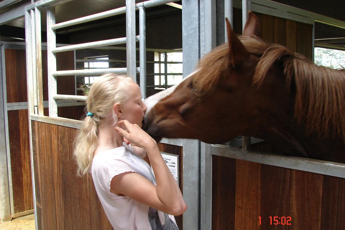 New Forest Wonder*Mit savn!*<333 - Theres a truth in your eyes, saying you'll never leave me! <3 billede 16