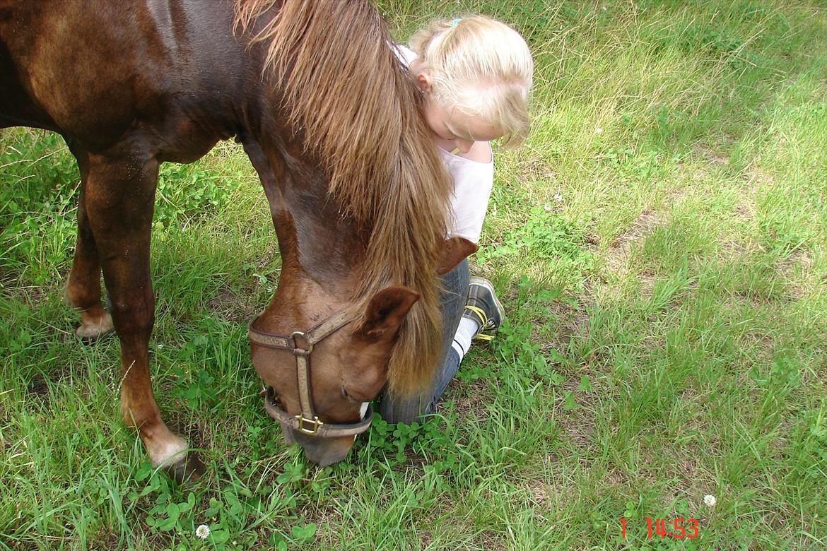 New Forest Wonder*Mit savn!*<333 - The touch of your hand, says you catch me where ever i fall! <3 billede 17