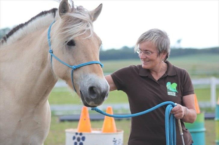 Fjordhest Legolas - Legolas AKA klodsen som model for hestevelfaerd.dk - sammen med hel-part Mona billede 10