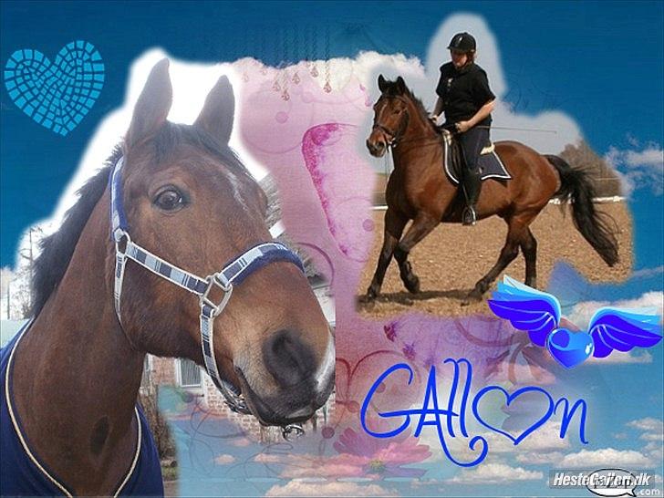 Anden særlig race Mister Gallon  - Lavet af søde Sofie :) billede 20