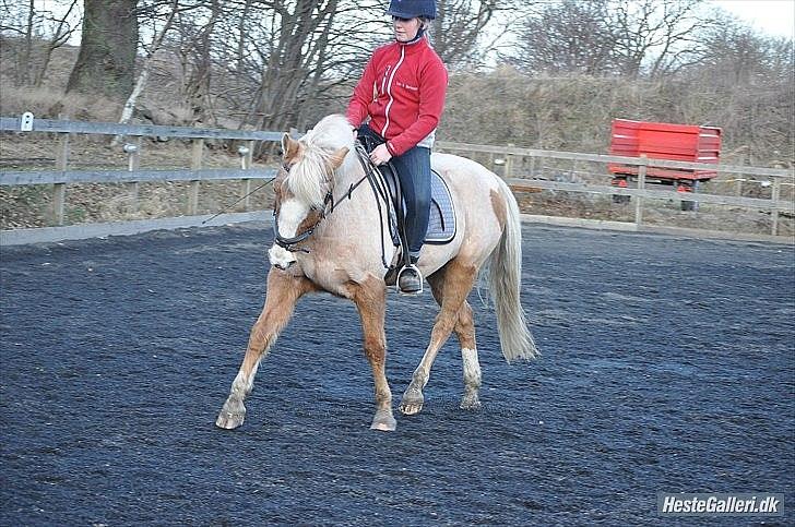 Anden særlig race Pablo - True friends are always together in one spirit.
 billede 14