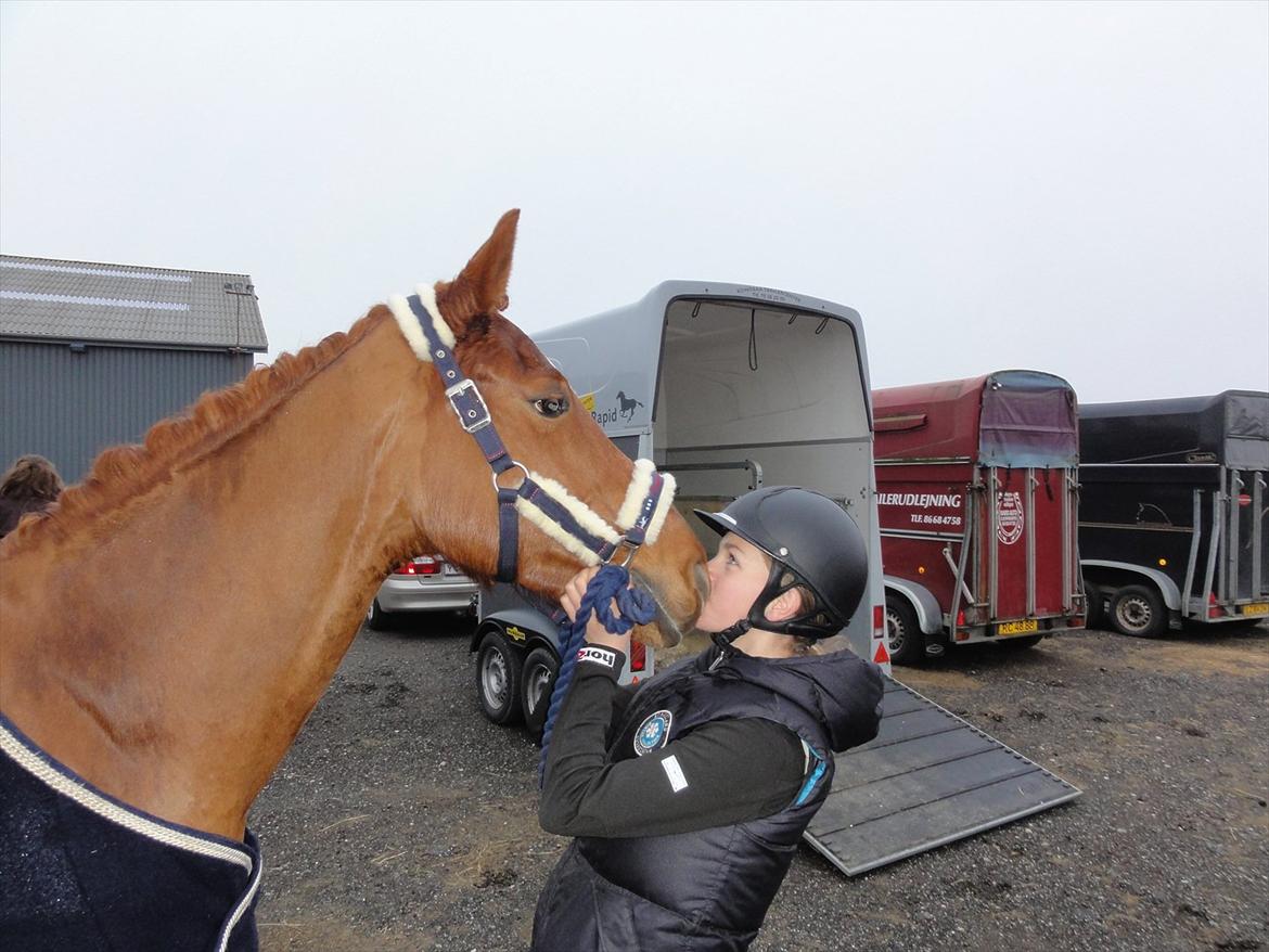 Irsk Sportspony Rivertown's Rose - Distrikt stævne - Hedensted.
andet stævne belv 4 i lb** og var nul i u-lc :-D <3 billede 6
