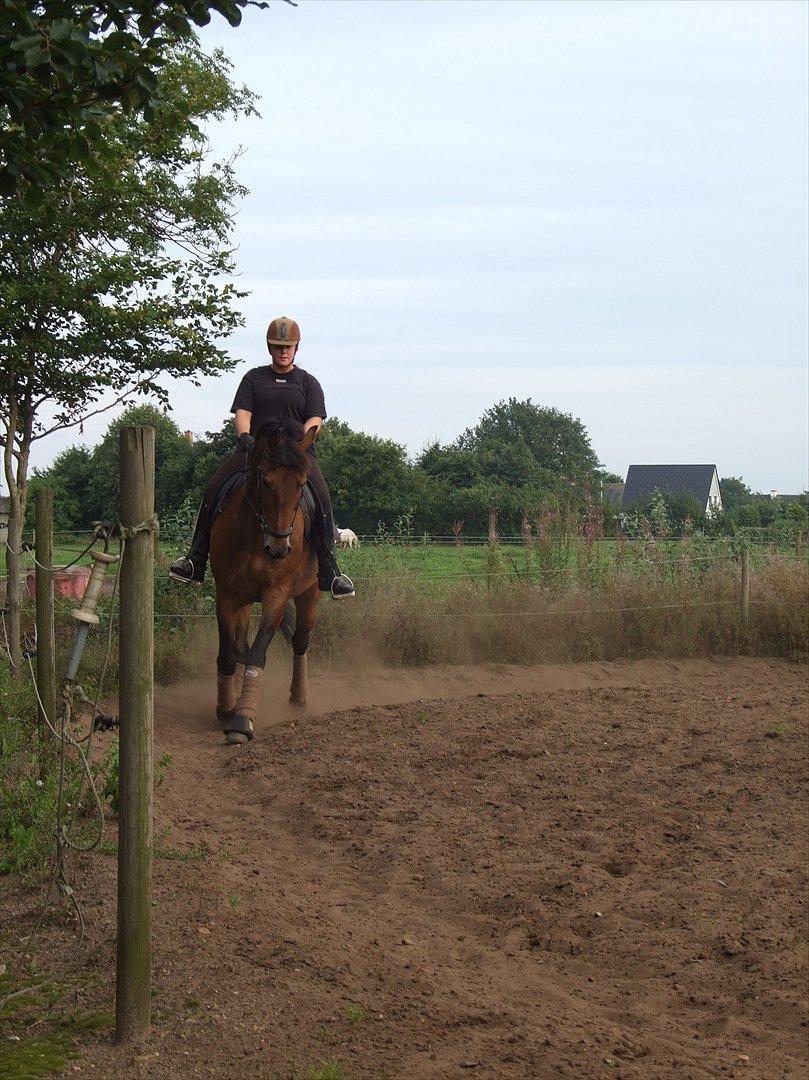 Anden særlig race Patrick  - Undervisning :-) billede 9