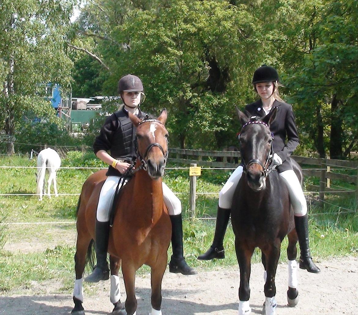 Anden særlig race Chago junior billede 7