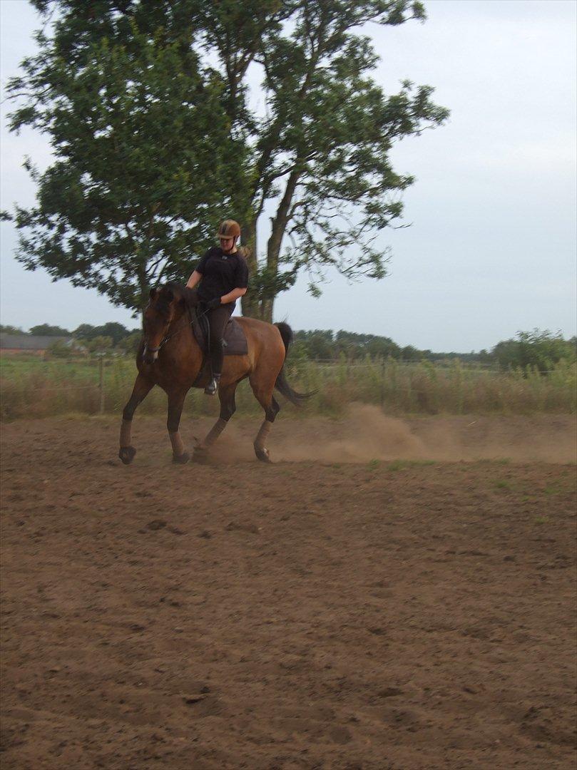 Anden særlig race Patrick  - Undervisnig :-) billede 5