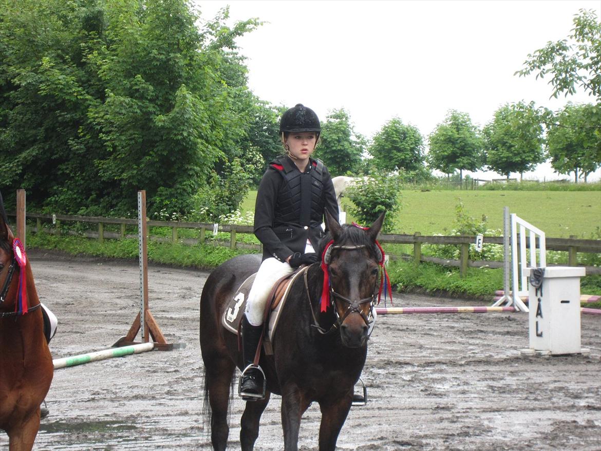 Anden særlig race Chago junior billede 9