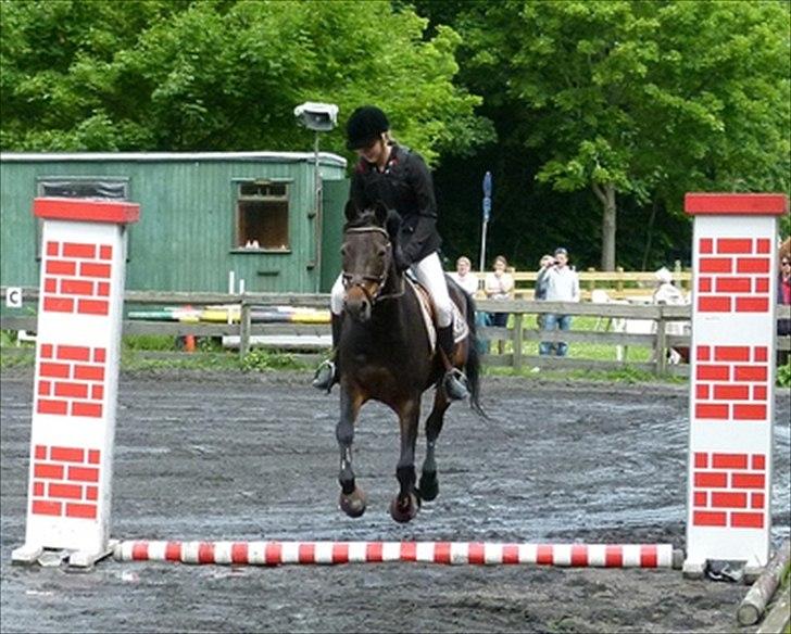 Anden særlig race Chago junior billede 10