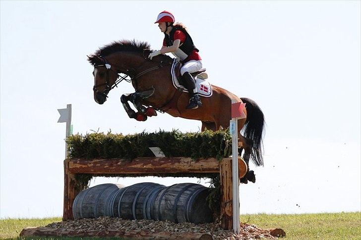 Anden særlig race Cilas Regal A-pony - Velkommen til Cilas' profil.
her på 4 spring til nordic 2011. virklig en polevelse for livet men blev dsv. disket på spring nr. 9. men cilas var ellers fantastisk. billede 1
