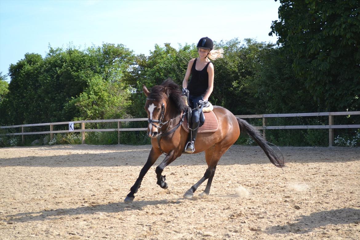 Anden særlig race Birkemosens Jasmin - Igen 3 dag hjemme<3 :D
Hun var så FIN<3
Jasmin i Galop! billede 10