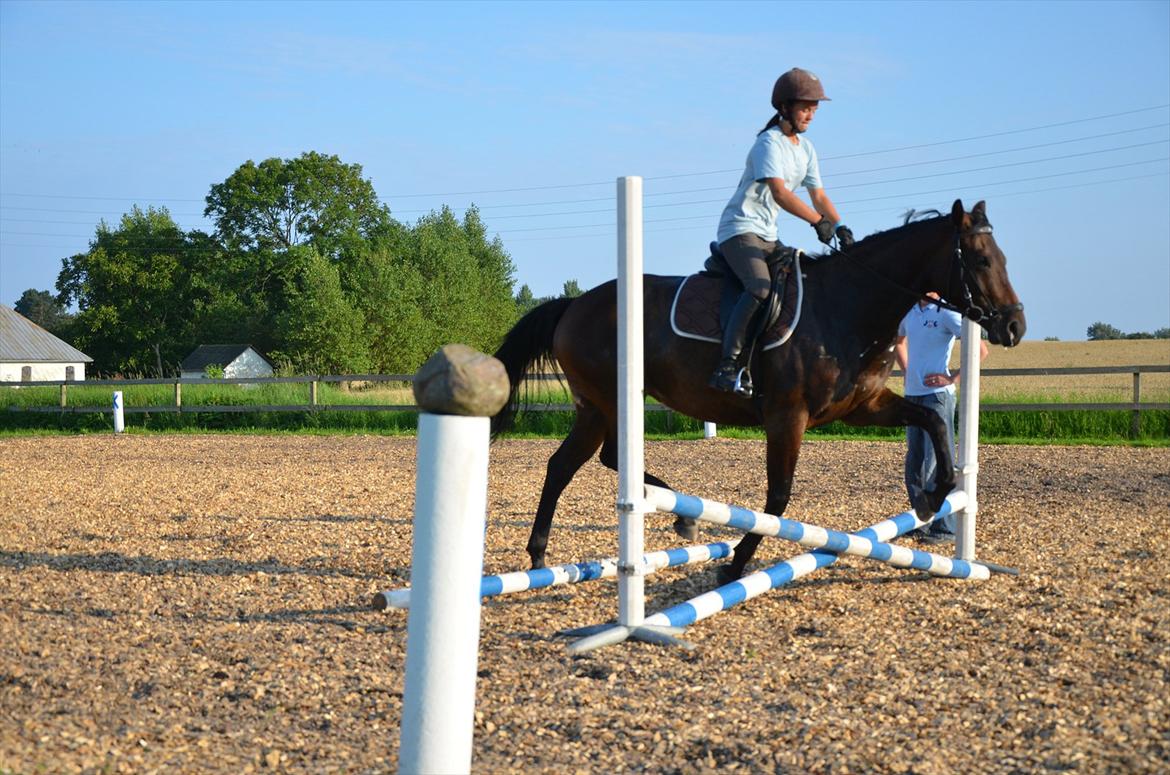Anden særlig race Coffee Calina - Opvarmning på kryds med mulen :-)
Foto : Lotte Svarer billede 6