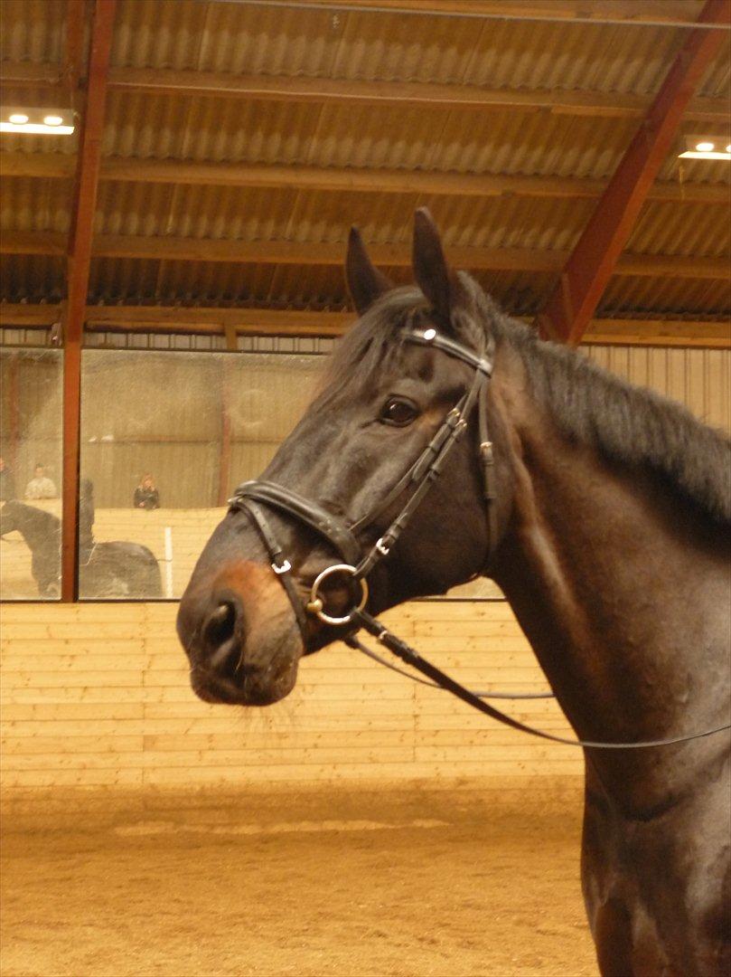 Oldenborg Titus billede 1