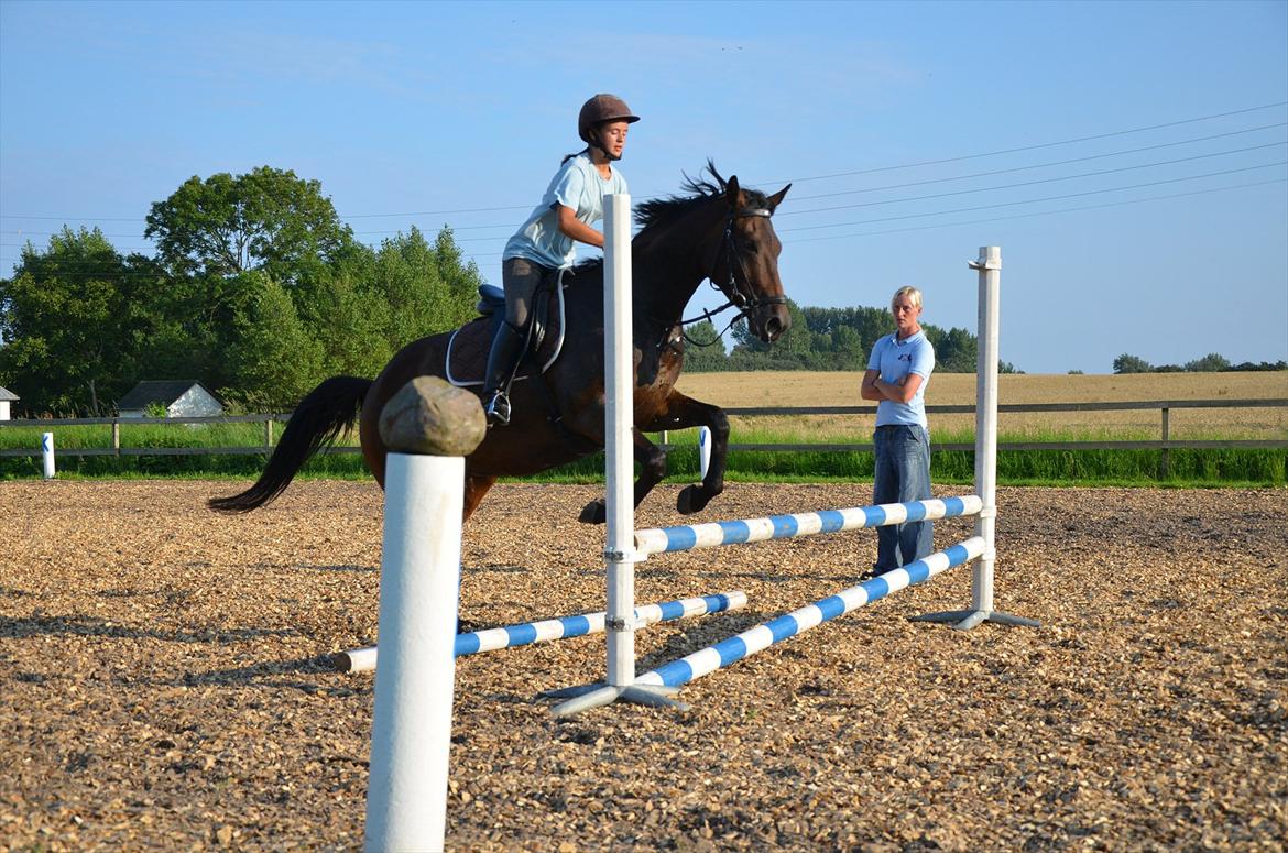 Anden særlig race Coffee Calina - 80 cm.
Foto : Lotte Svarer billede 7