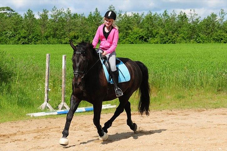 Oldenborg Titus billede 3