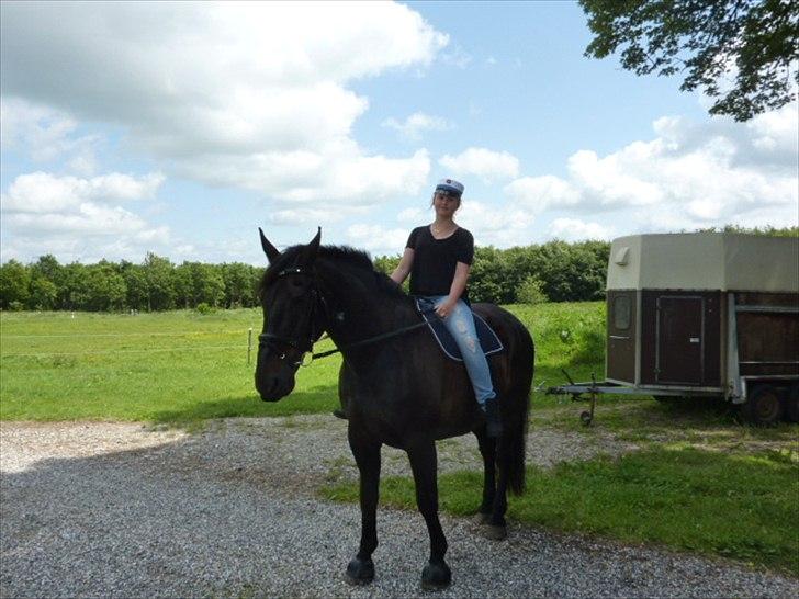 Oldenborg Titus billede 4