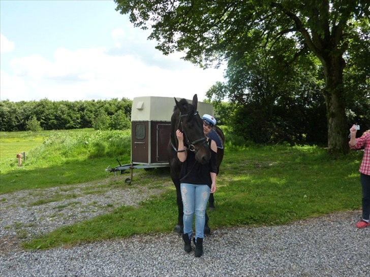 Oldenborg Titus billede 5