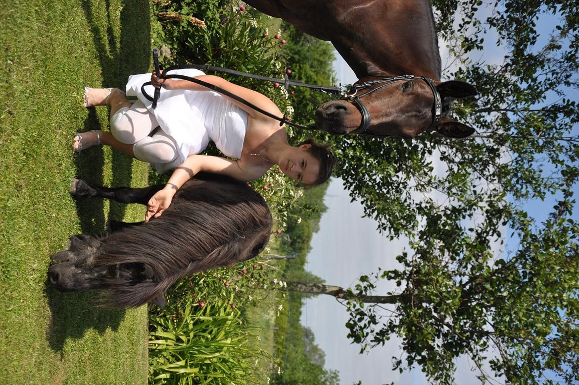 Shetlænder Pony - Konfirmations billede med hestene :) billede 7