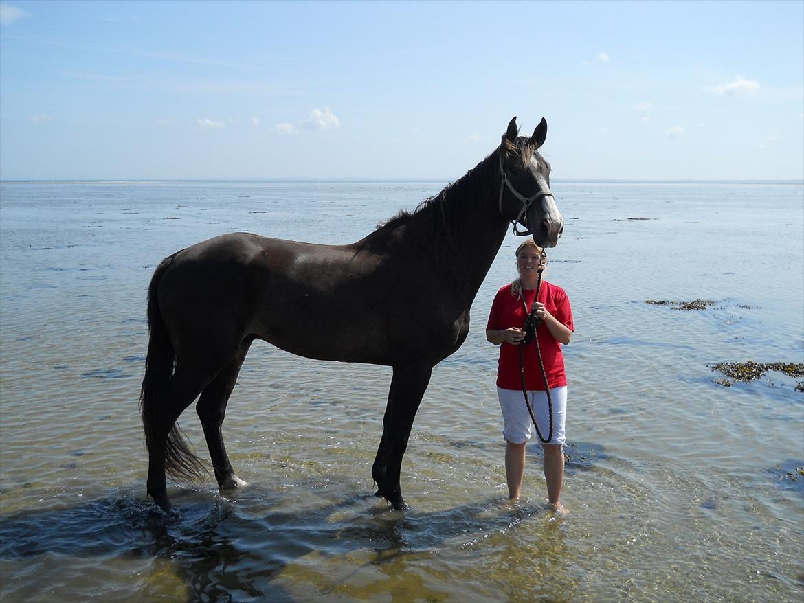 Holstener Count Down - Første gang ved stranden - vi nød det :-) Men puh. hvor ser den bette dreng stor ud. billede 3