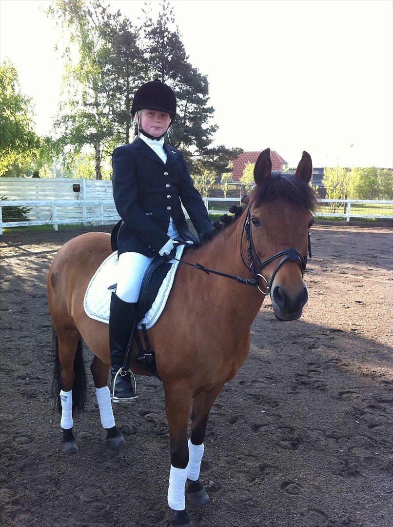 Anden særlig race Lilo - Til stævne på TSR (2010) billede 11