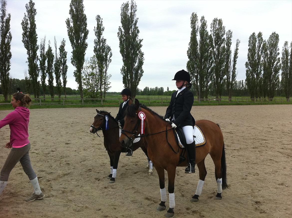 Anden særlig race Lilo - Stævne på HVR billede 13