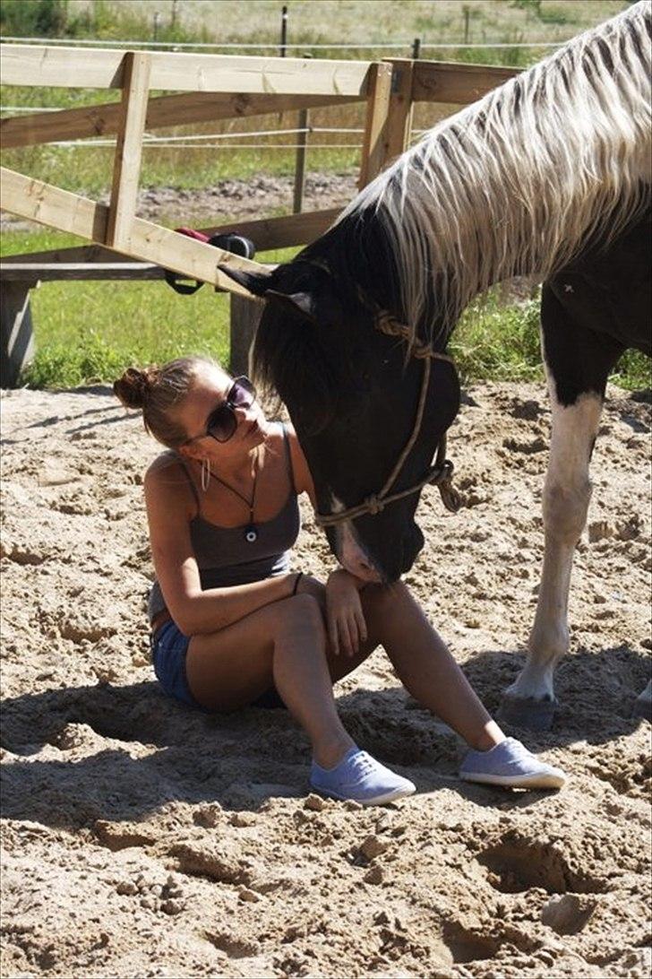 Paint Charlies paintet topshot billede 16