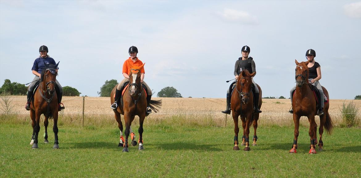 Holstener Wajes Capice (Følle) - Fælles foto efter springning. Fra højre Sarah, Sofie, Julie og Mig.  billede 17