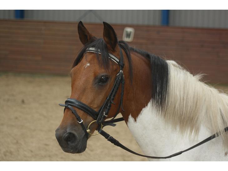 {{currentPhoto.altText}} billede {{currentPhoto.number}}