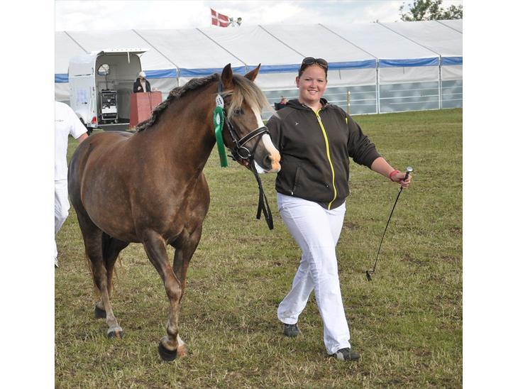 {{currentPhoto.altText}} billede {{currentPhoto.number}}