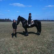 Frieser Roderick Van De Braamberg ( Bandit)