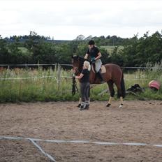 Dansk Varmblod DM's Cancan