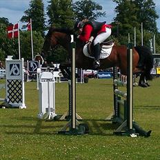 Anden særlig race Tippy B-pony