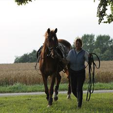 Frederiksborg Zorio Brentedal
