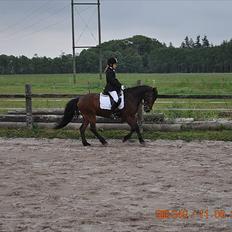 Irsk Hunter Chapman De La Cruz